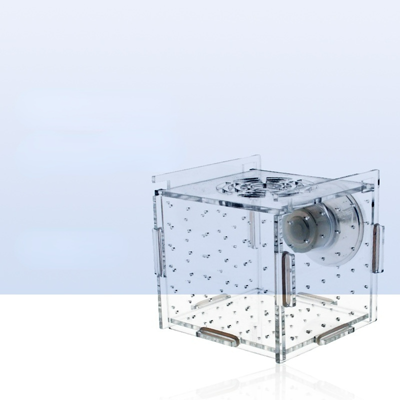 Acrylic Isolation Box Fish Tan - Aquarium Fish Net Small review and price