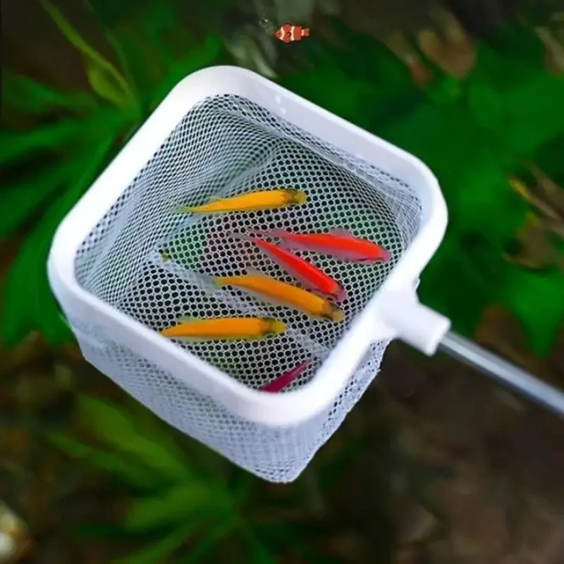 3D Aquarium Small Fish Scoop T - Aquarium Fish Net Small review and price