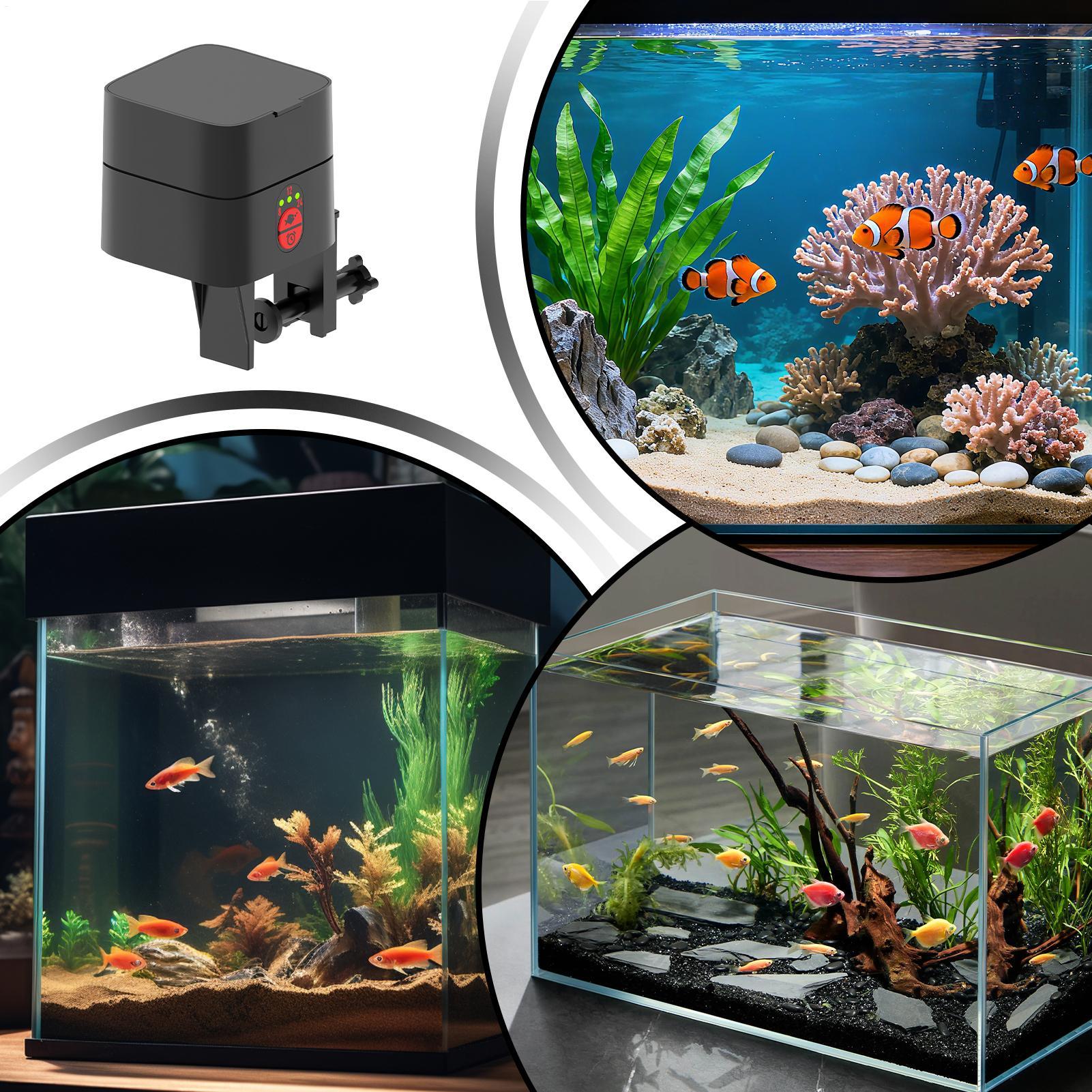 Automatic Turtle Feeder Automa - Aquarium Fish Auto Feeder review and price