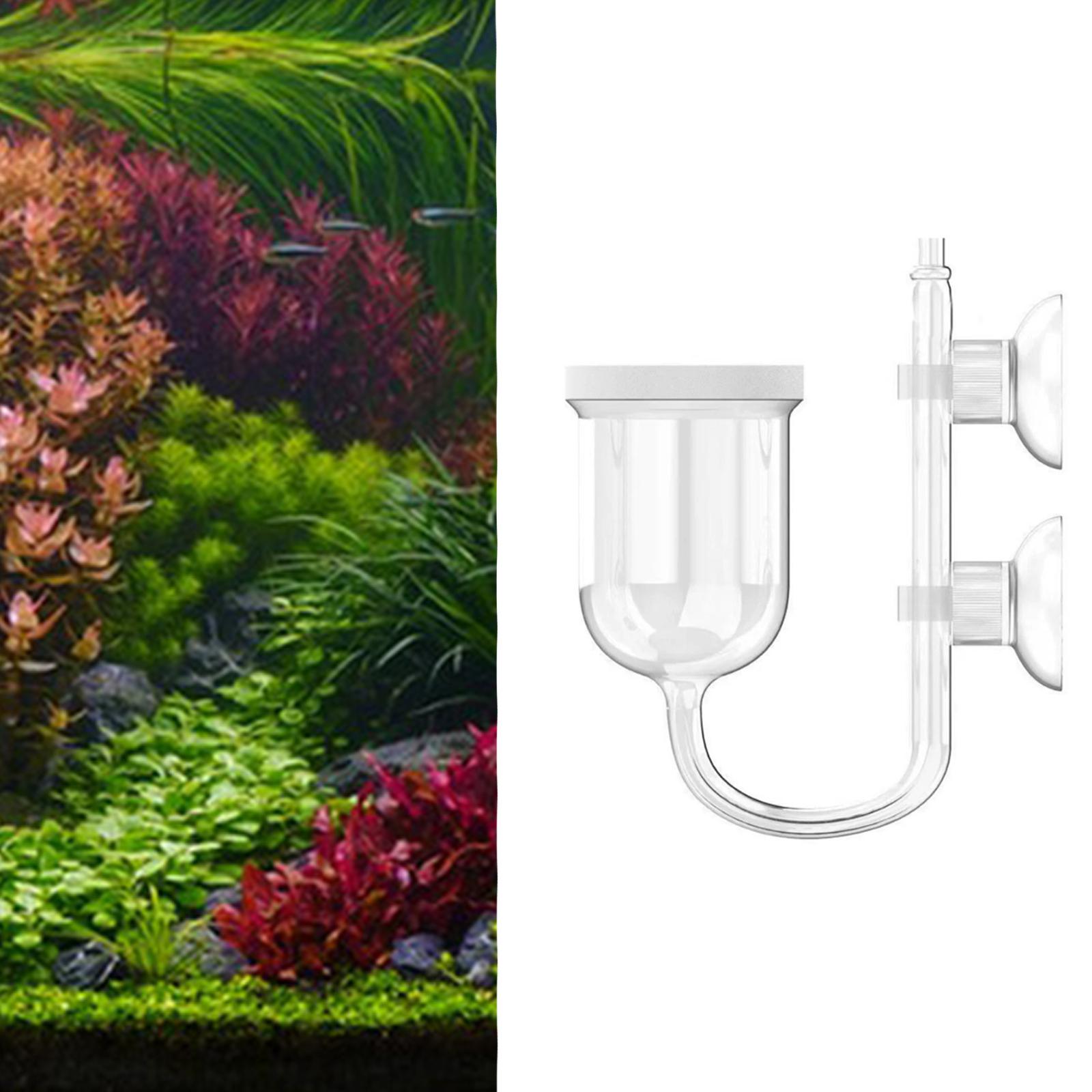 Aquarium CO2 Diffuser Clear Gl - Co2 Diffuser Planted review and price