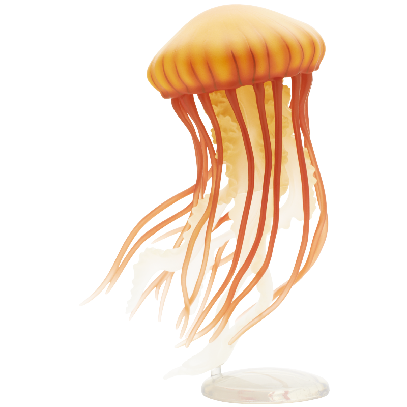 Jellyfish Gashapon Figure Kita - Fish Toys For Aquarium review and price