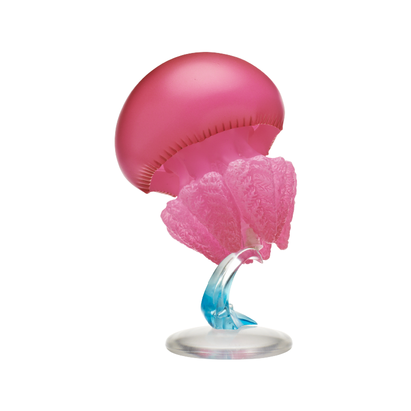 Jellyfish Gashapon Figure Kita - Fish Toys For Aquarium review and price