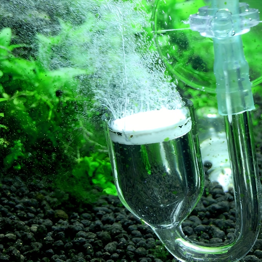 Aquarium Glass CO2 Atomizer Di - Co2 Diffuser Planted review and price