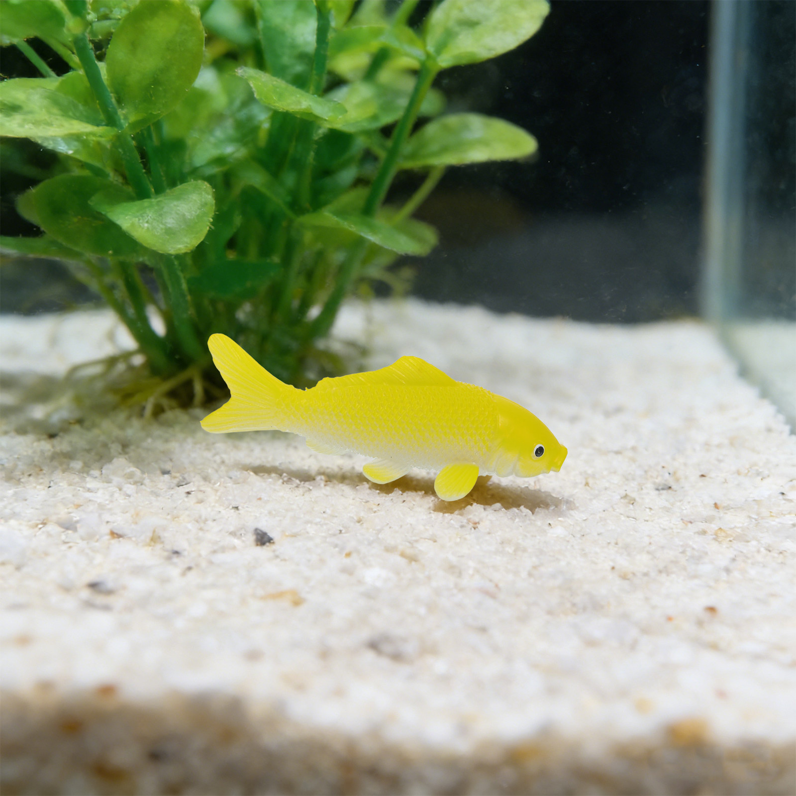 3pcs Fish Crafts Toys Realisti - Fish Toys For Aquarium review and price