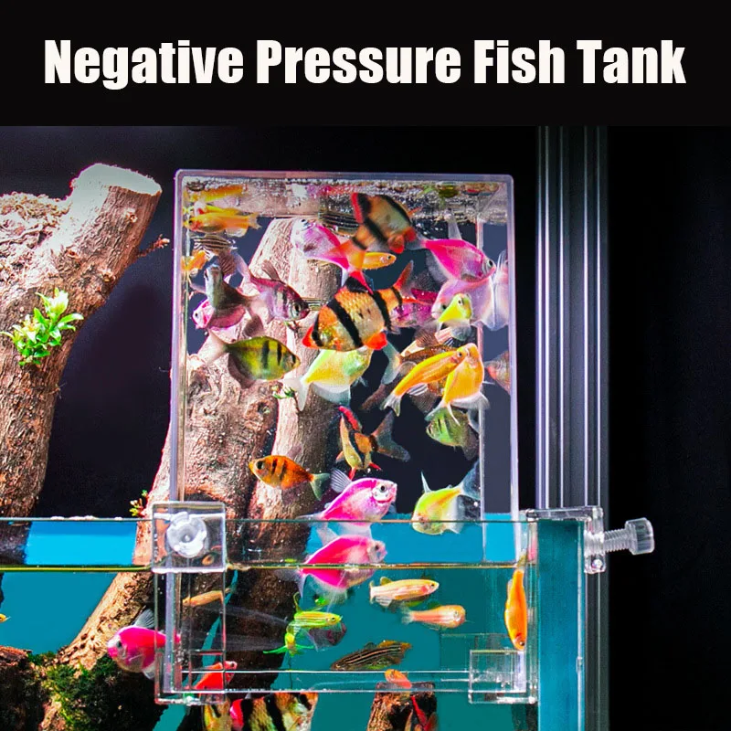 Creative Aquarium Tanks Negati - Aquarium Fish Pot review and price
