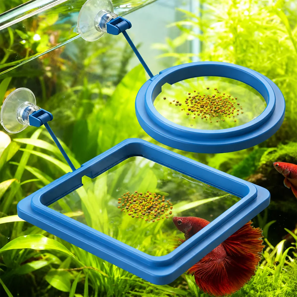 Betta Fish Food Floating Mini  - Aquarium Fish Price review and price