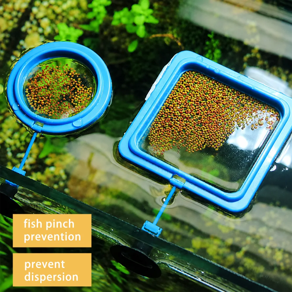 Betta Fish Food Floating Mini  - Aquarium Fish Price review and price