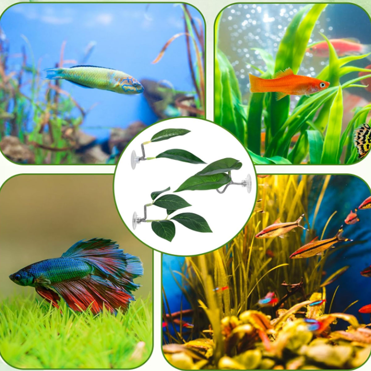 1 PC Betta Fish Hammock Soft A - Aquarium Fish Only review and price