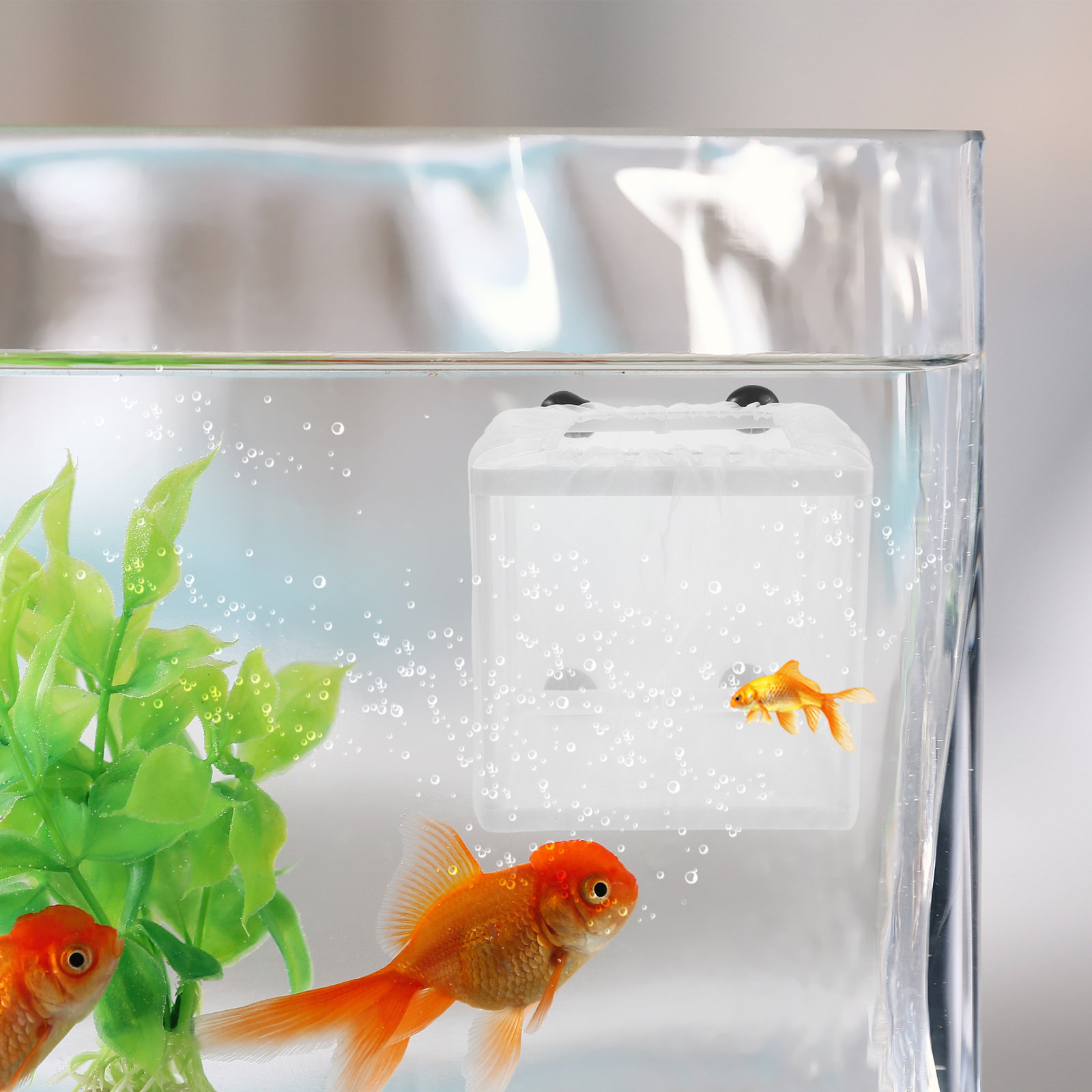 2Pcs Fish Breeding Box Aquariu - Aquarium Fish Net Small review and price