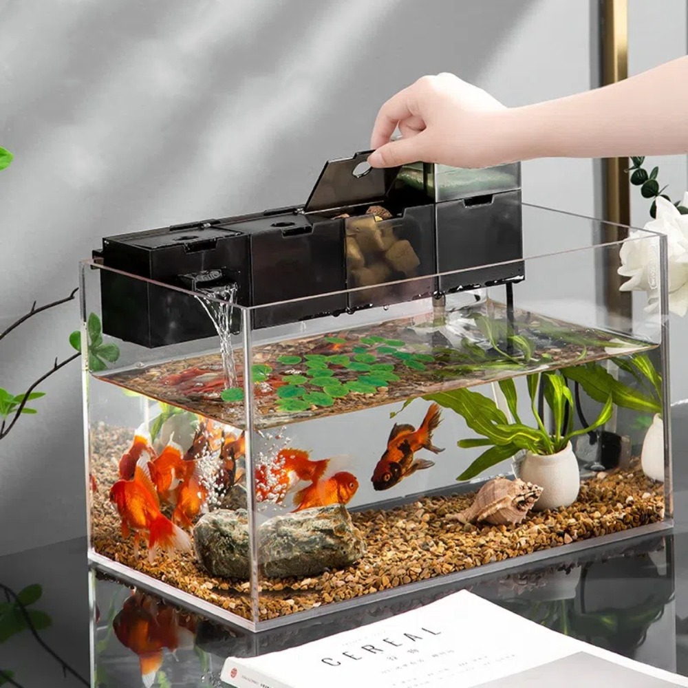 Three-in-one External Aquarium - Box Fish In Aquarium review and price