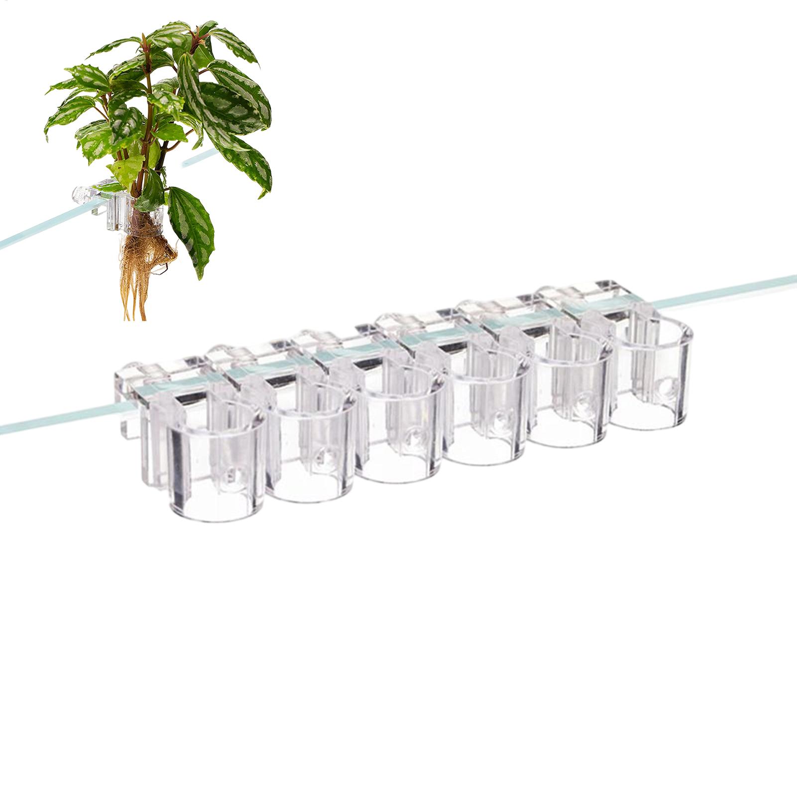 Mini Fish Tank Planter Pot 6Pc - Aquarium Fish Pot review and price