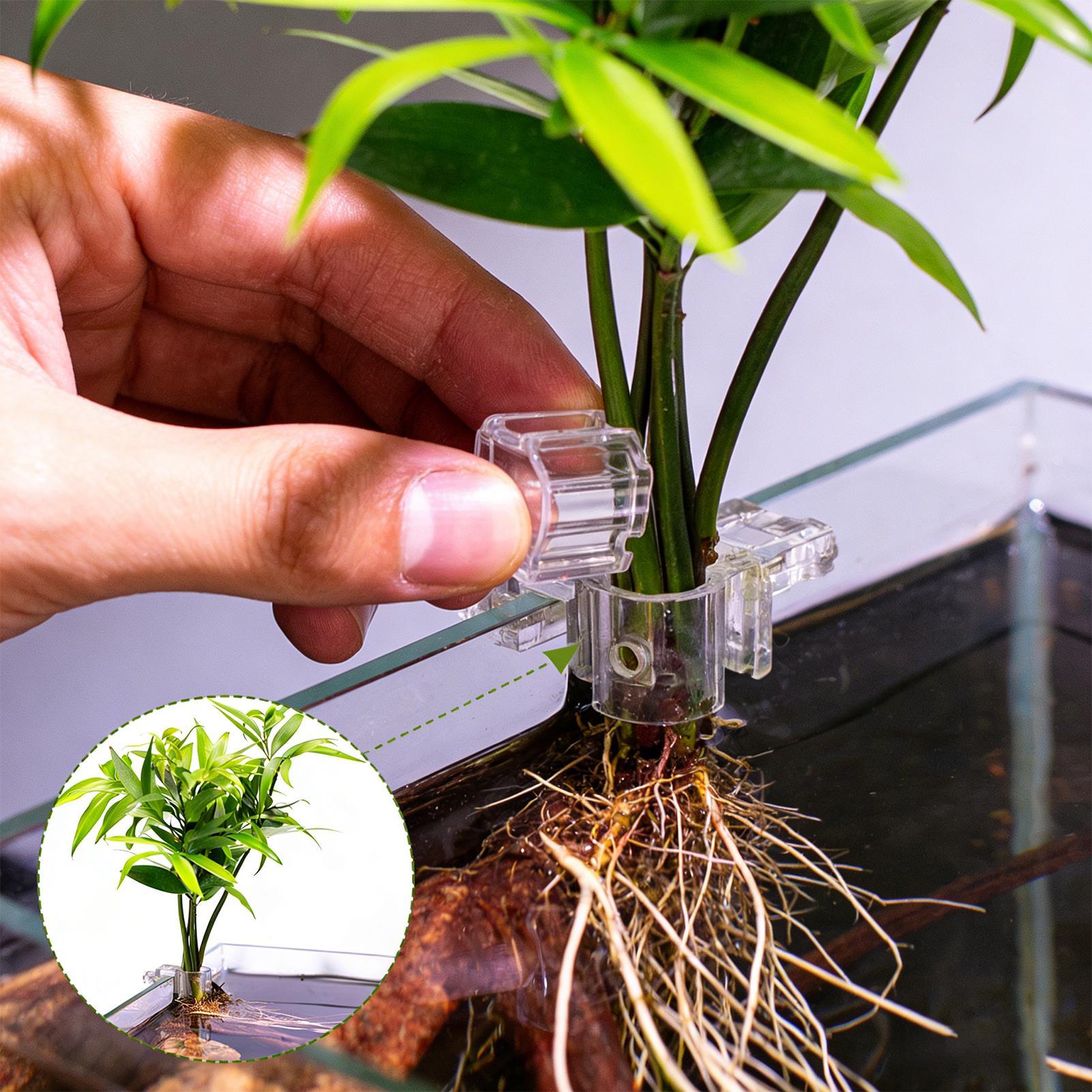 Mini Fish Tank Planter Pot 6Pc - Aquarium Fish Pot review and price