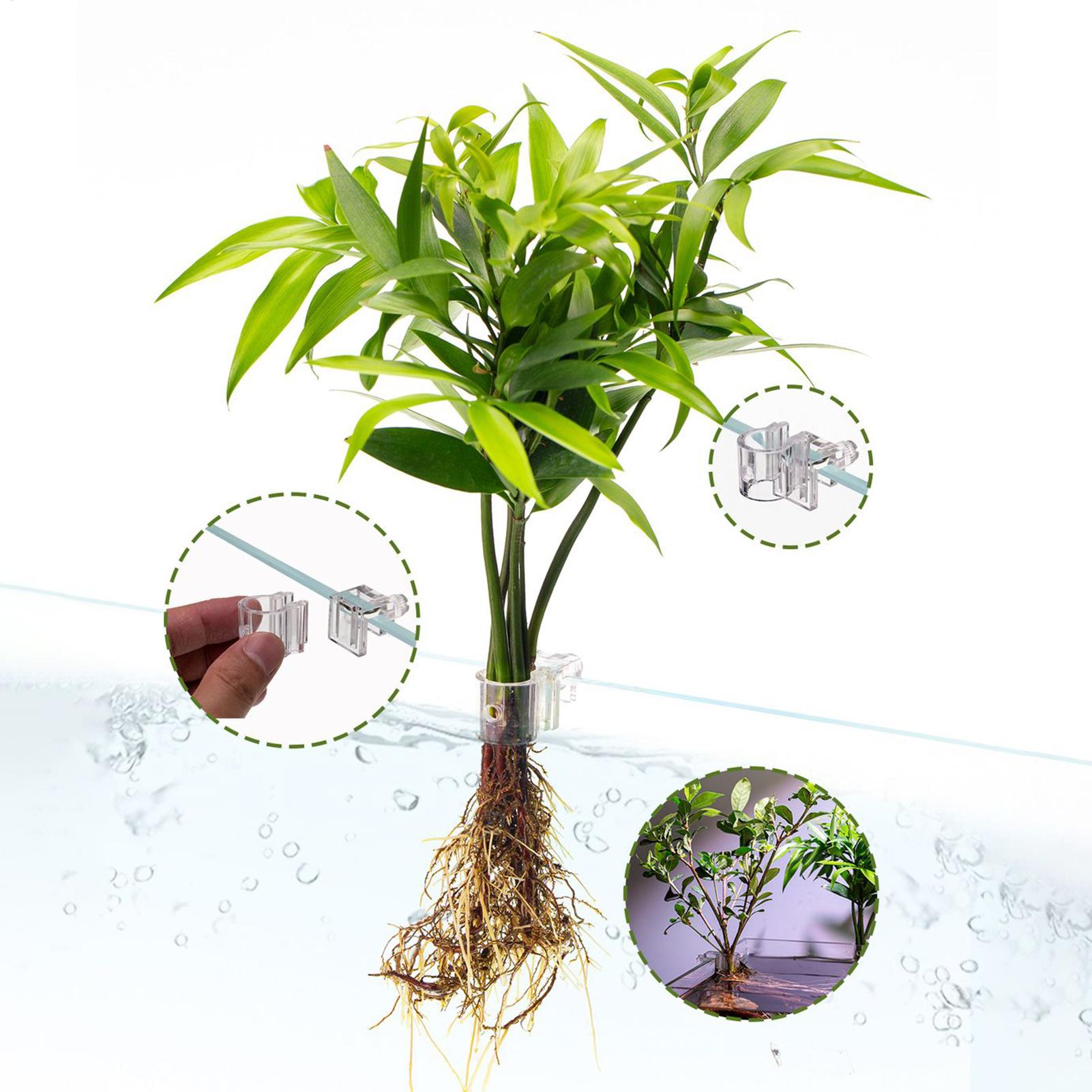Mini Fish Tank Planter Pot 6Pc - Aquarium Fish Pot review and price