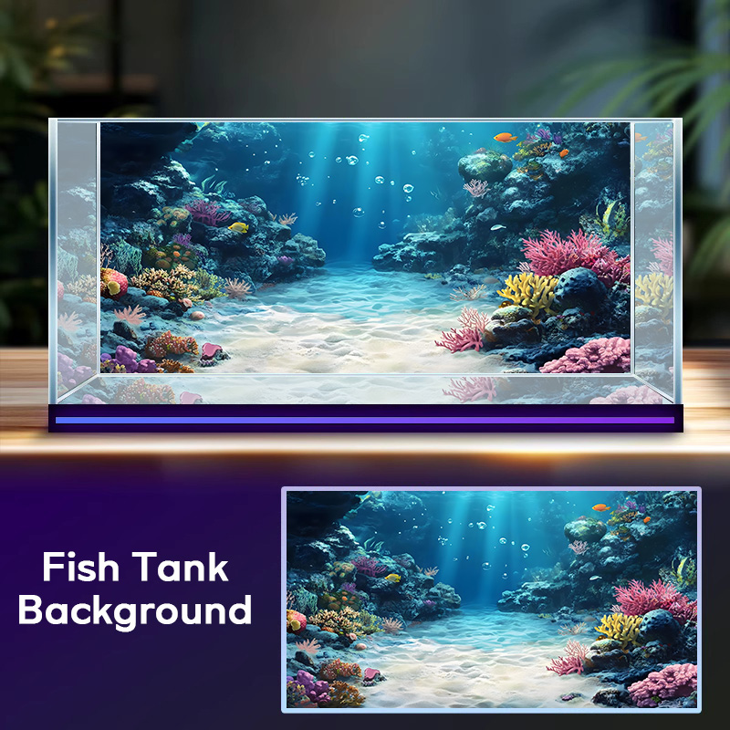 Rainbow Coral Reef，Fish tank b - Aquarium Fish Rainbow review and price