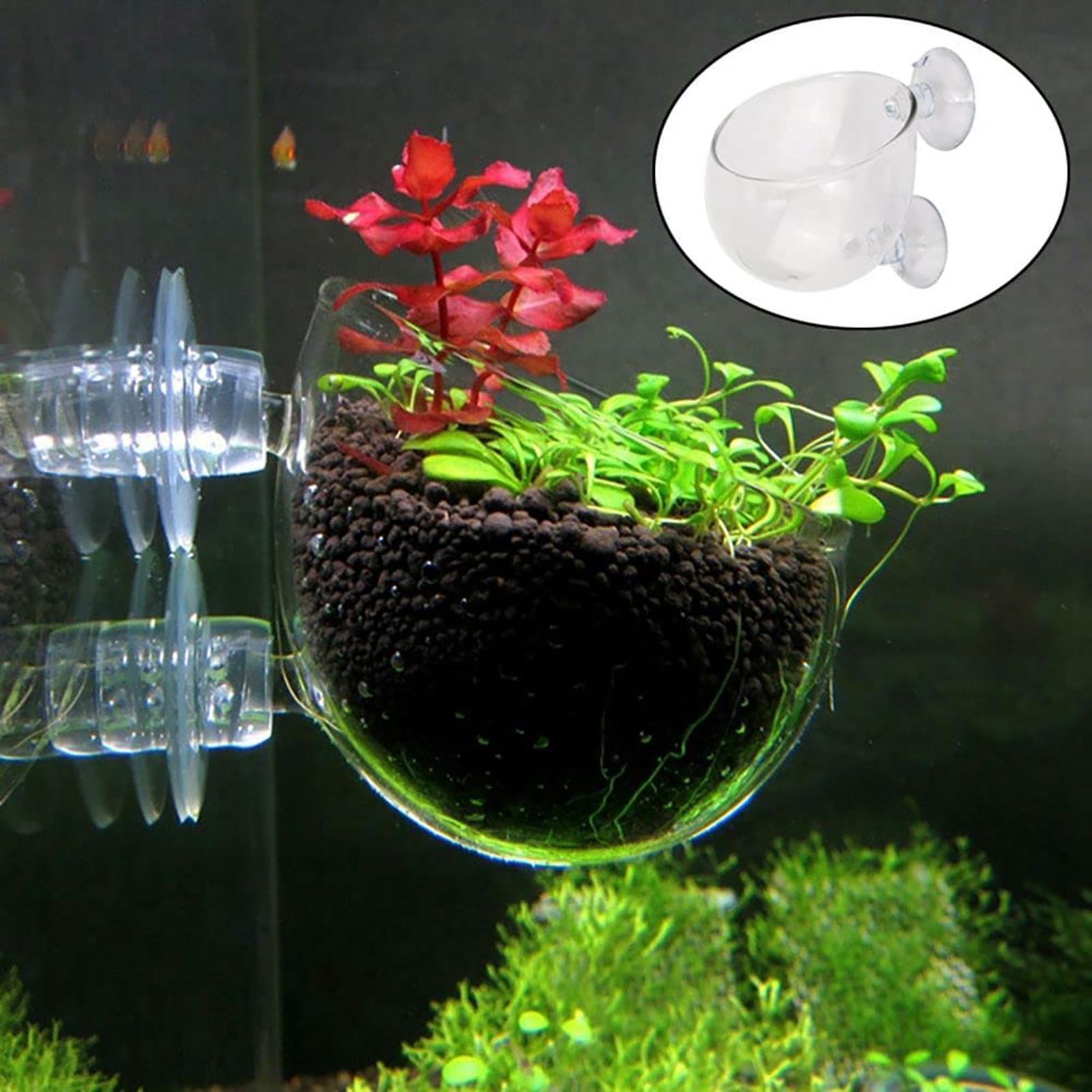 Aquatic Plant Pot Clear Acryli - Aquarium Fish Pot review and price