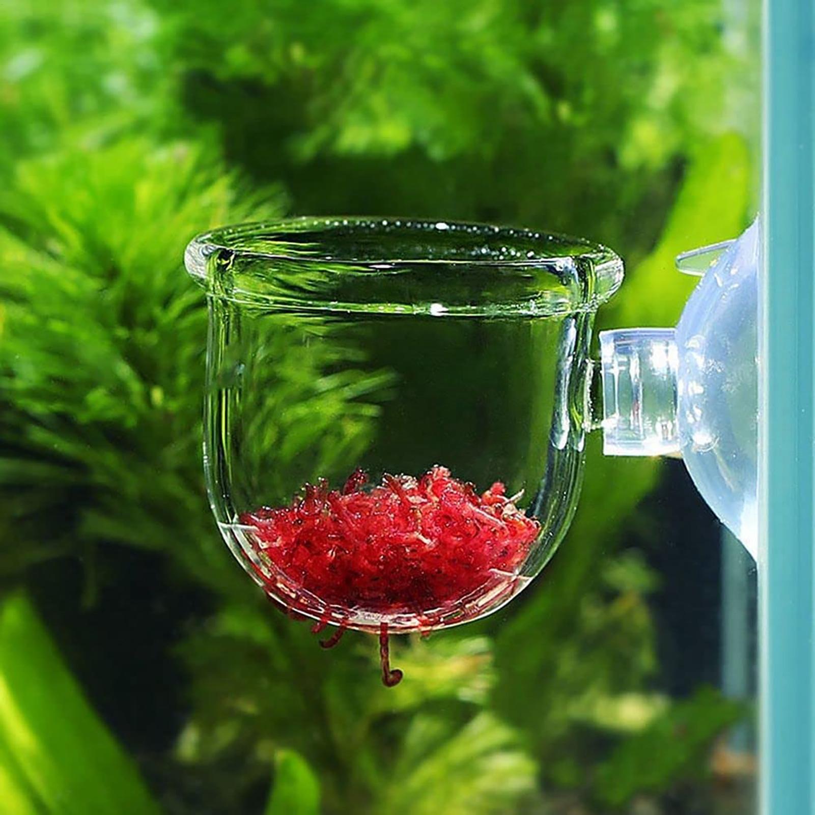 Aquatic Plant Pot Clear Acryli - Aquarium Fish Pot review and price