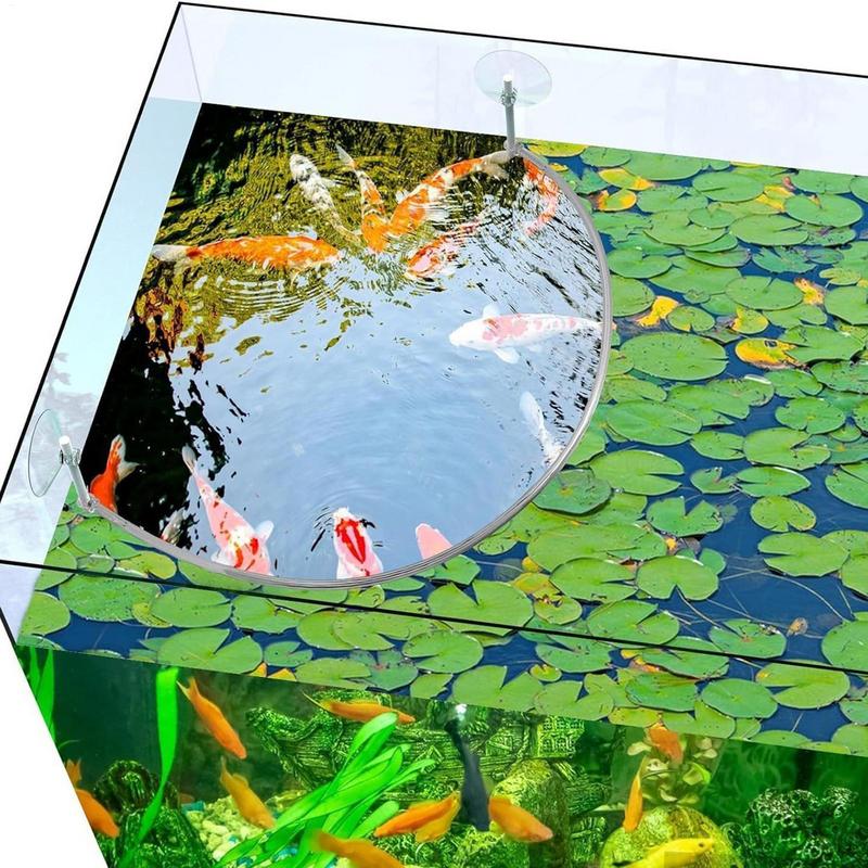 Floating Plant Corral Fish Fee - Aquarium Fish Food review and price