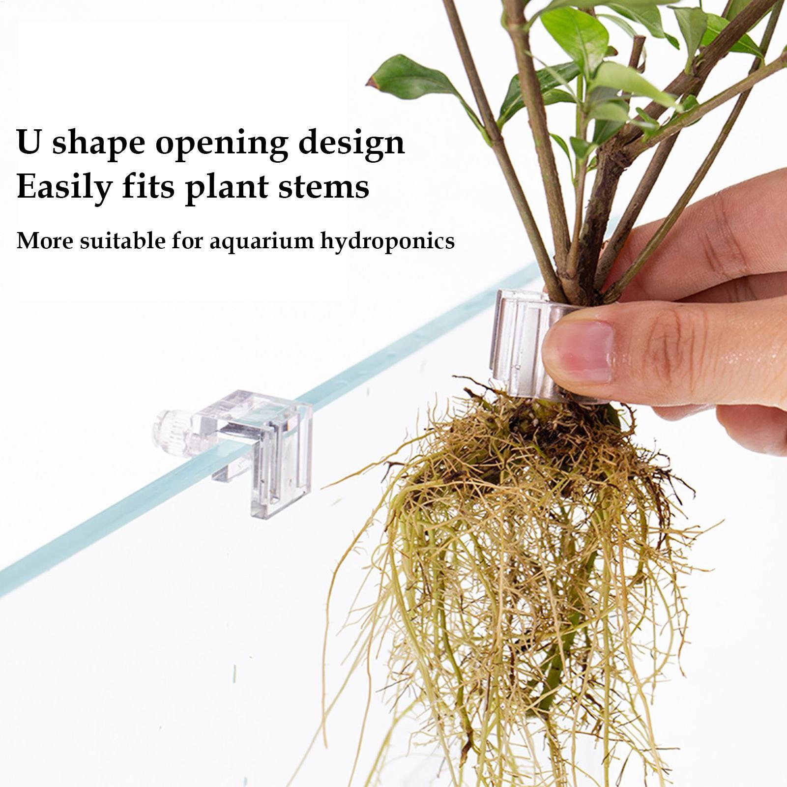 Aquarium Plant Basket Transpar - Aquarium Fish Pot review and price