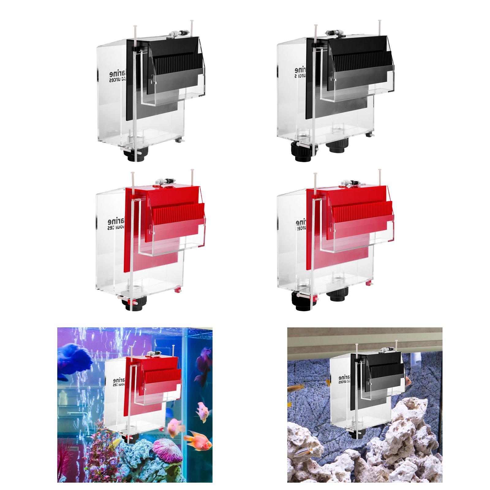 Overflow Box for Aquariums Fis - Box Fish In Aquarium review and price