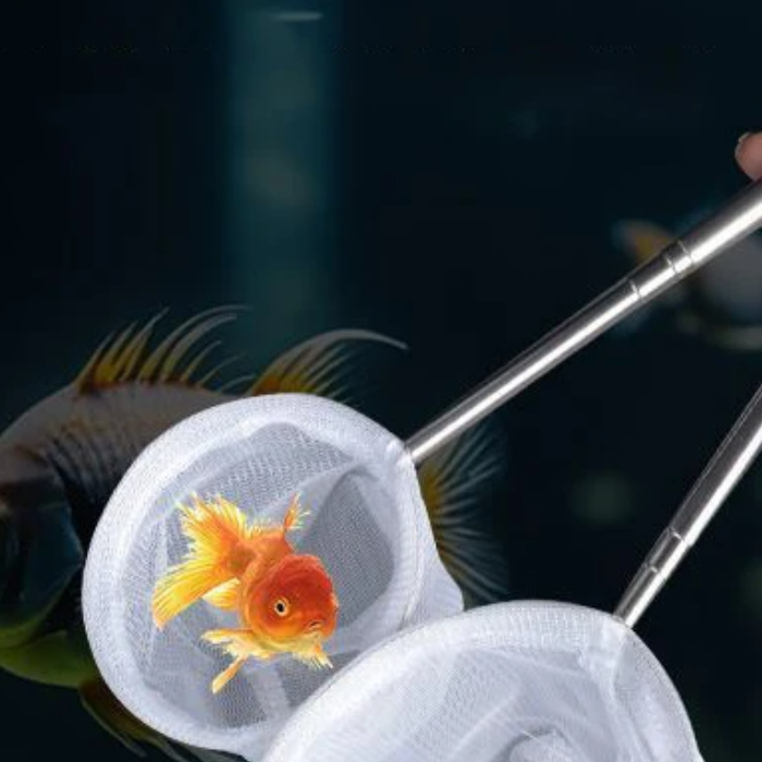 Aquarium Fish Fishing Net Stai - Aquarium Fish Net Small review and price