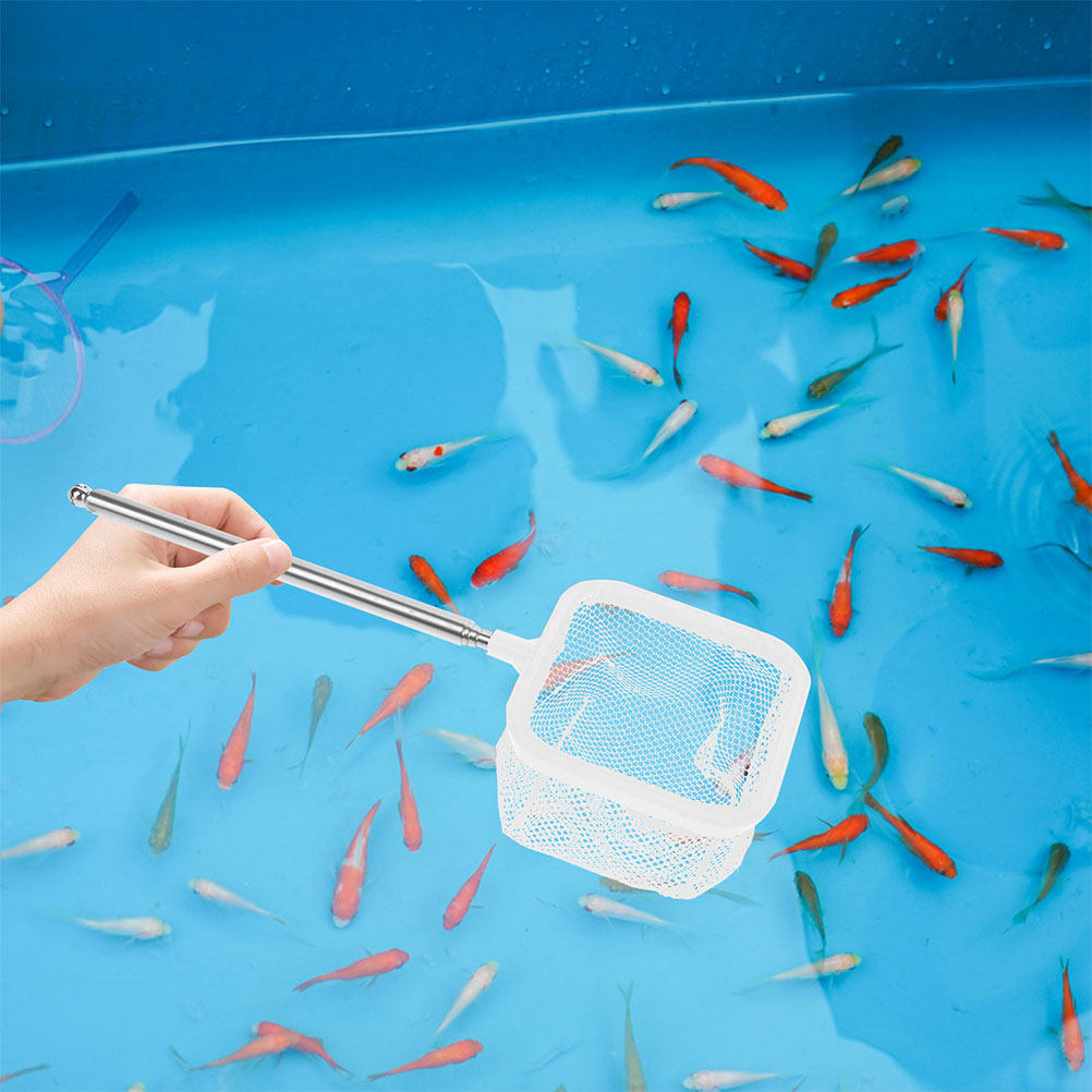 2Pcs Stainless Steel Extendabl - Aquarium Fish Net Small review and price