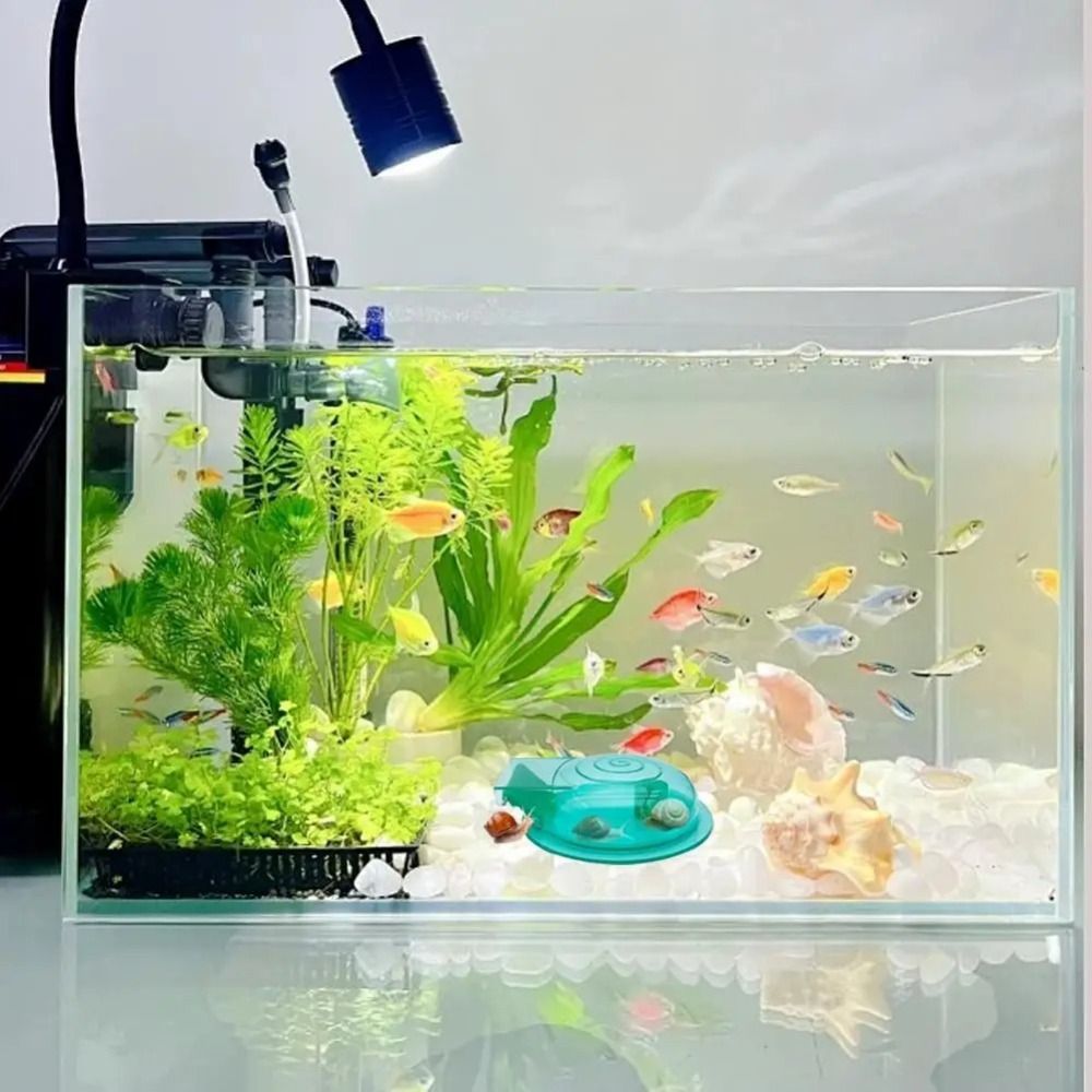 Freshwater Saltwater Aquarium  - Aquarium Fish Escape review and price