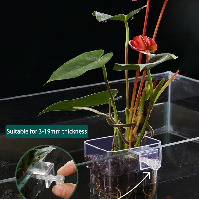 Multifunctional Fish Aquarium  - Box Fish In Aquarium review and price