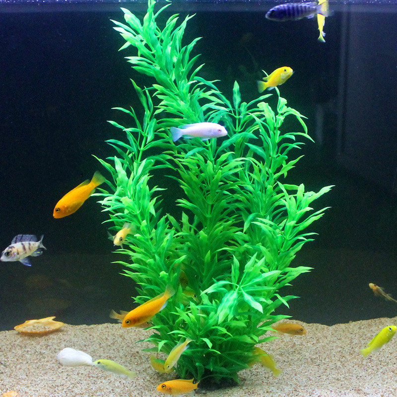 50CM Artificial Fish Tank Rare - Aquarium Fish Only review and price