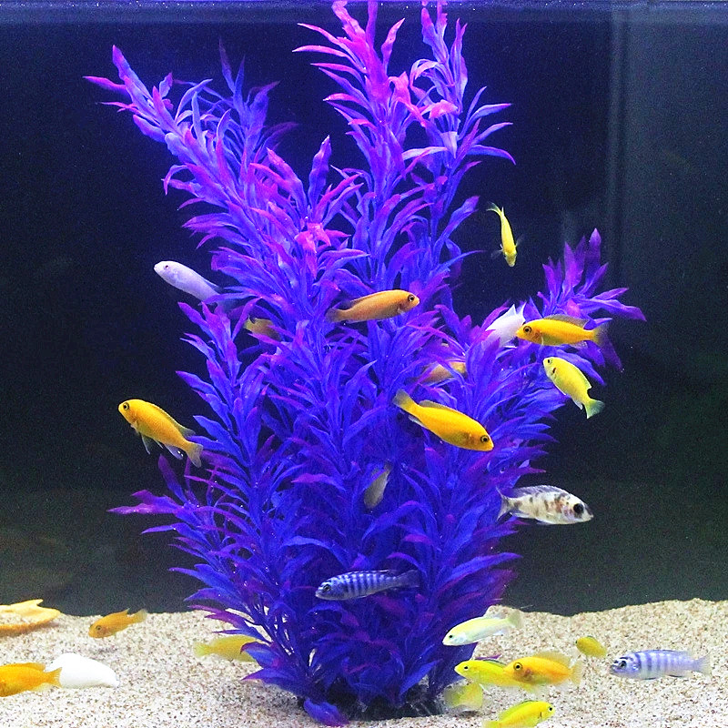 50CM Artificial Fish Tank Rare - Aquarium Fish Only review and price