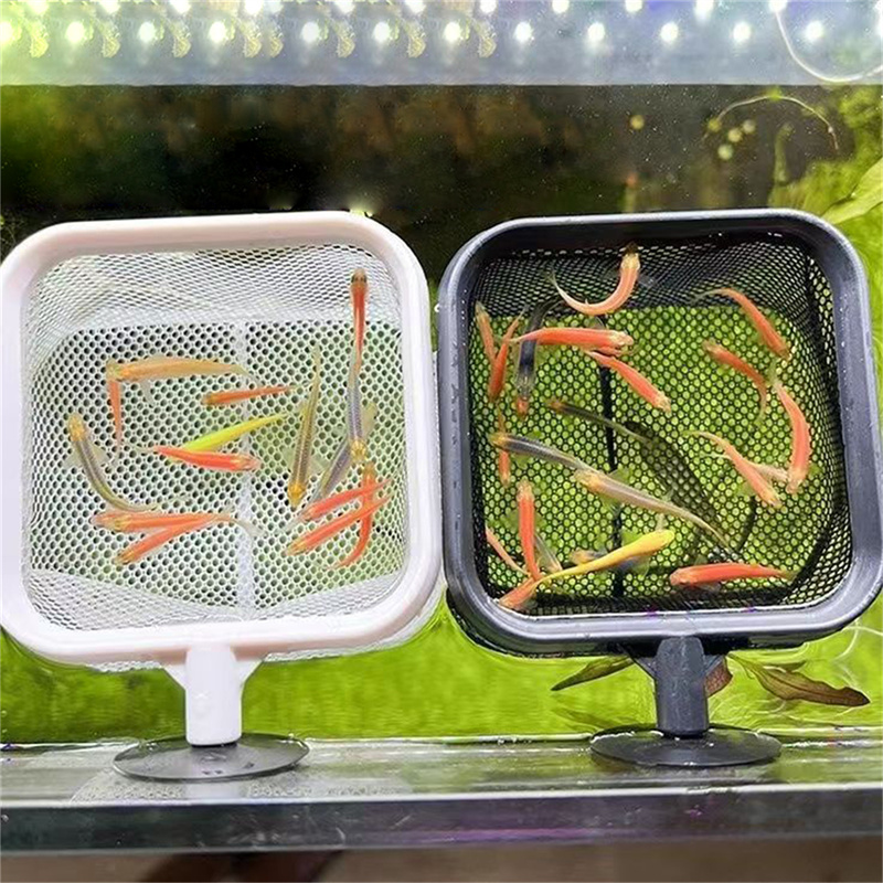 AquariumFish Fishing Net Stain - Aquarium Fish Net Small review and price