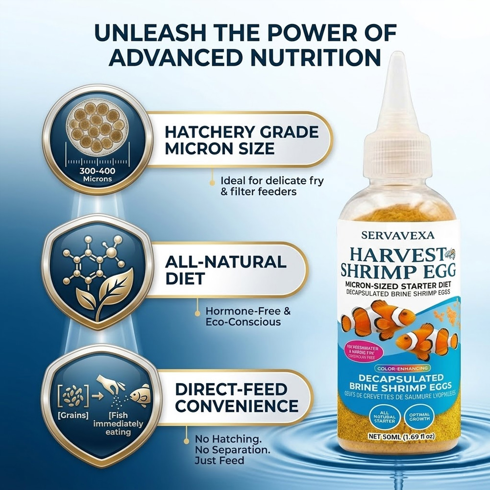 High Protein Fish Food for Bet - Aquarium Fish Price review and price