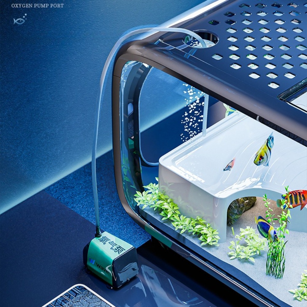 Transparent Luxury Fish Tank D - Aquarium Fish Only review and price