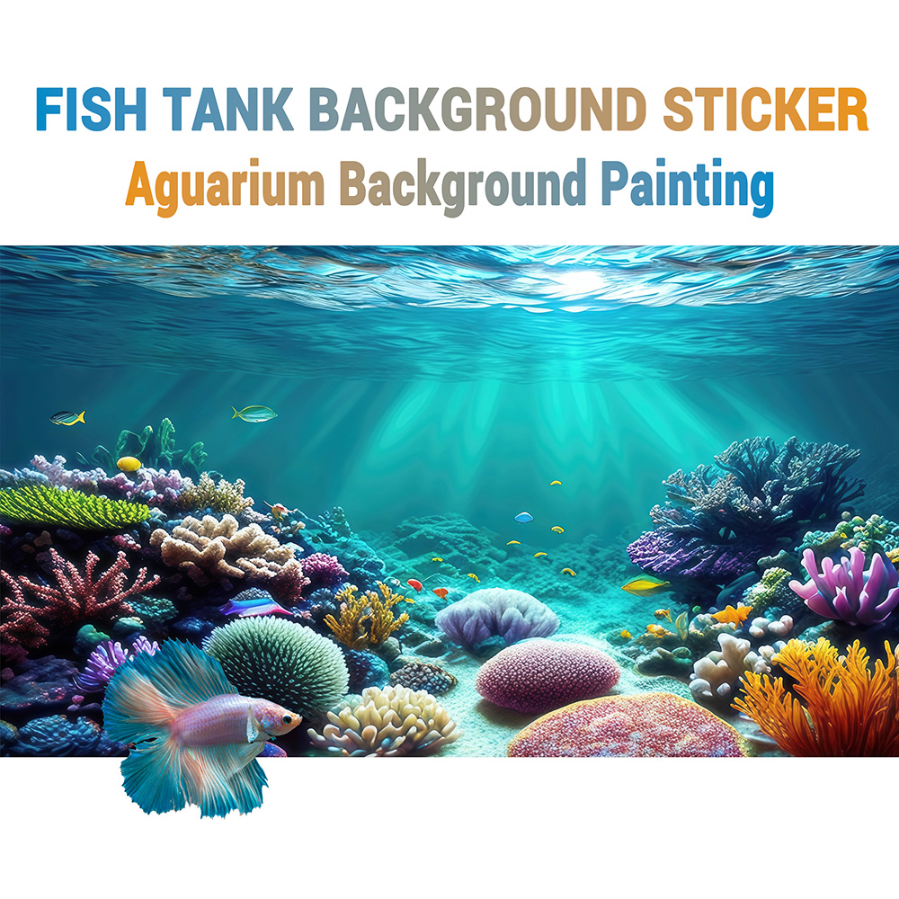 Rainbow coral，fish tank backgr - Aquarium Fish Rainbow review and price
