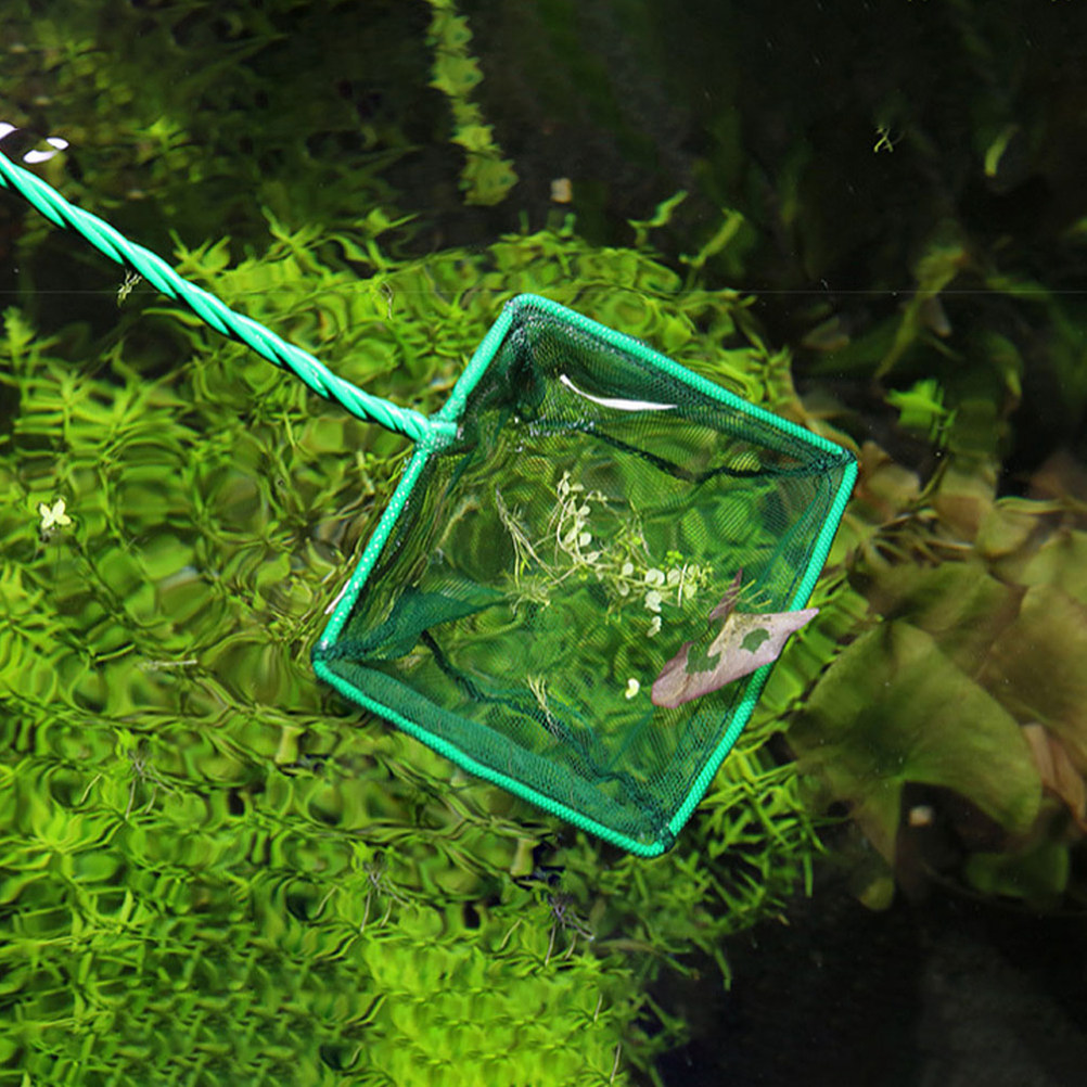 2Pcs Portable Fish Net Aquariu - Aquarium Fish Net Small review and price
