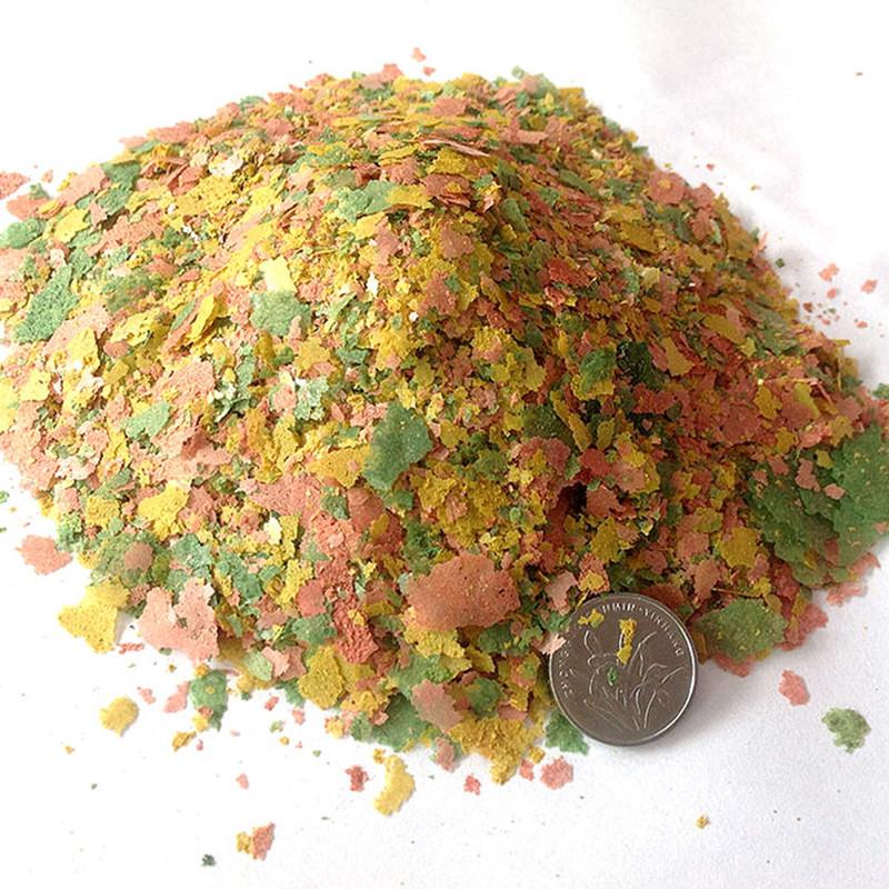 Ornamental Fish Thin Slice Foo - Aquarium Fish Rainbow review and price