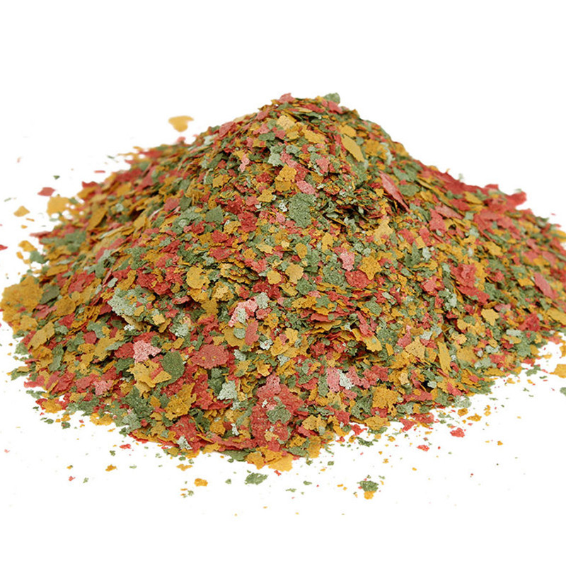 Ornamental Fish Thin Slice Foo - Aquarium Fish Rainbow review and price