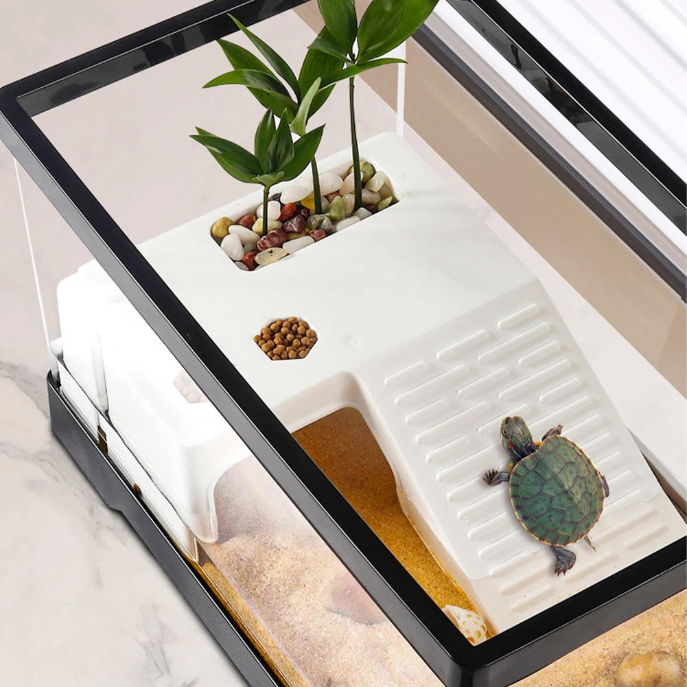 Large Transparent Turtle Tank  - Box Fish In Aquarium review and price