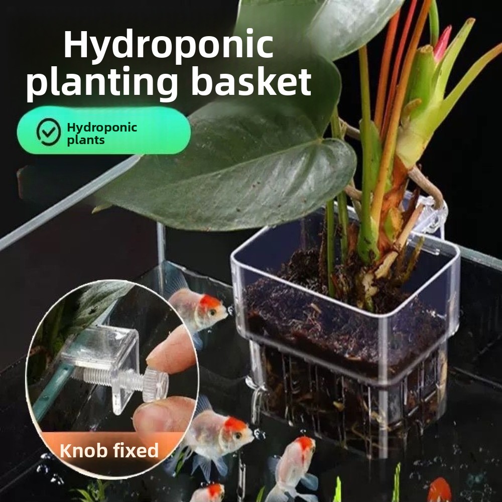 Aquarium Hydroponic Planting B - Aquarium Fish Pot review and price