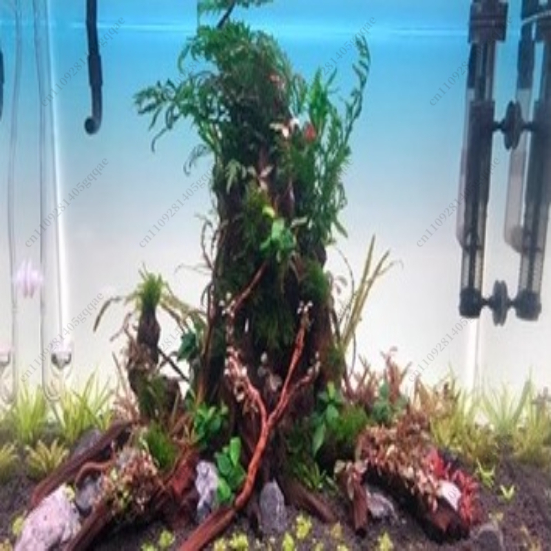 Fish Tank Background Board LED - Aquarium Fish Rainbow review and price