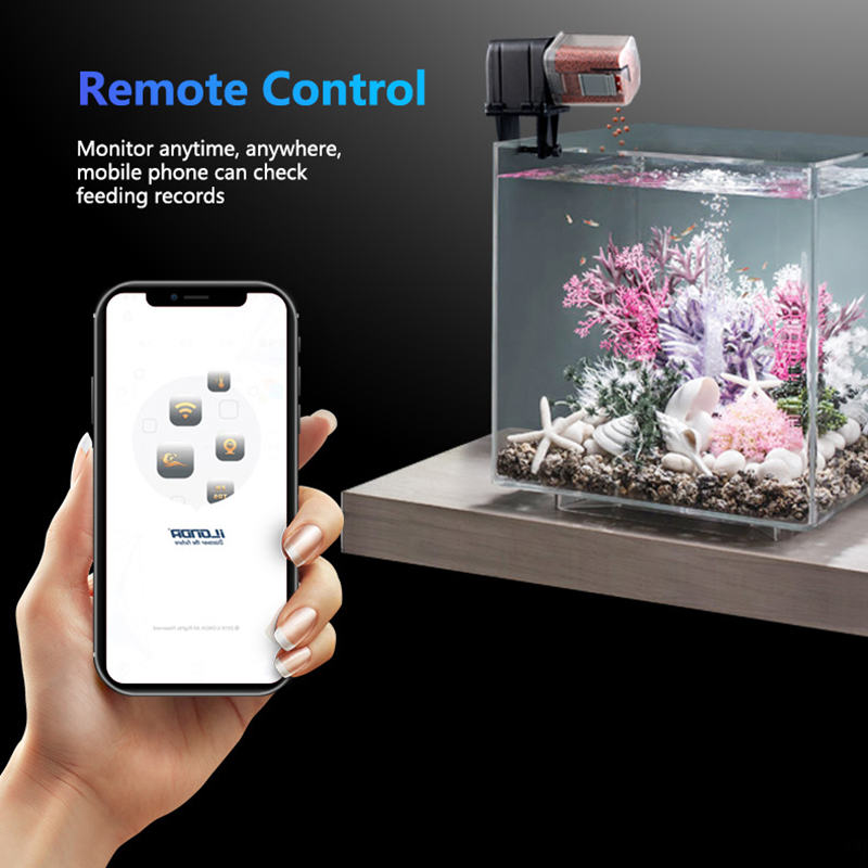 Smart WiFi Fish Feeder Remote  - Aquarium Fish Auto Feeder review and price