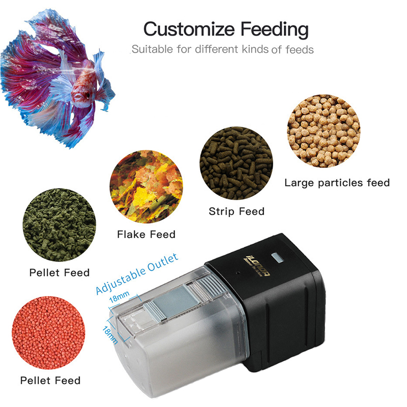 Smart WiFi Fish Feeder Remote  - Aquarium Fish Auto Feeder review and price