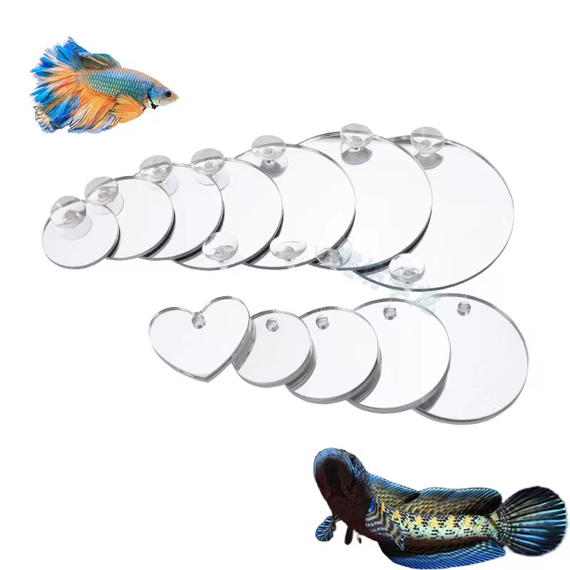 Aquarium Betta Mirror Fish Tan - Aquarium Fish Escape review and price