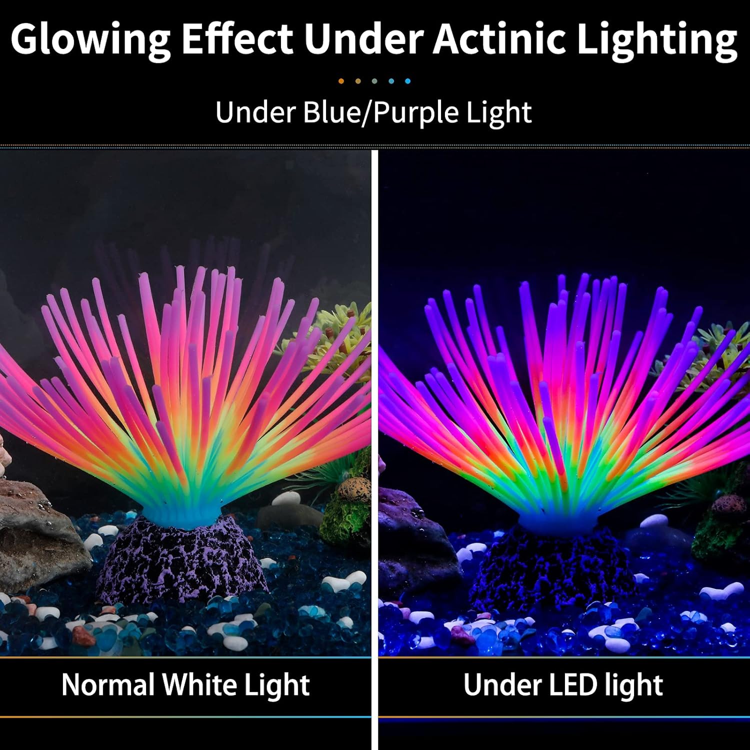 Aquarium Imitative Rainbow Sea - Aquarium Fish Rainbow review and price
