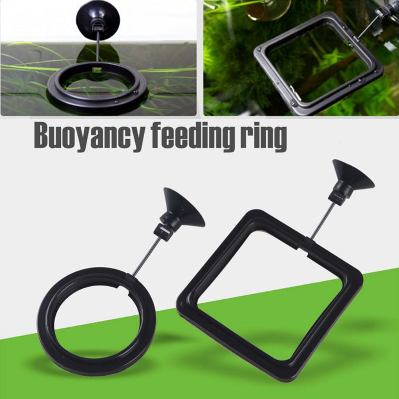 Aquarium Fish Feeding Ring Fis - Aquarium Fish Food review and price