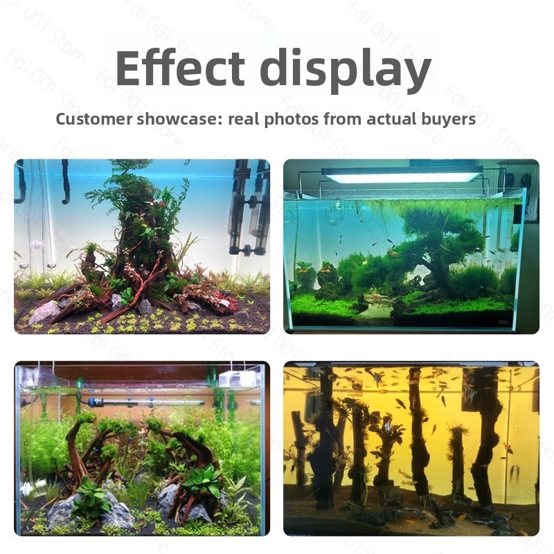 Fish Tank Background Board LED - Aquarium Fish Rainbow review and price