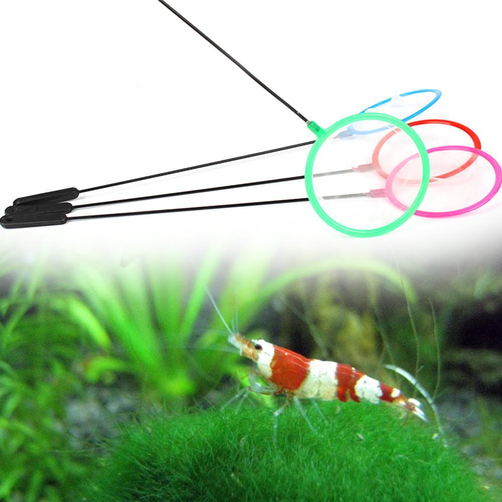 1/5/10pc Colorful Aquarium Fis - Aquarium Fish Net Small review and price